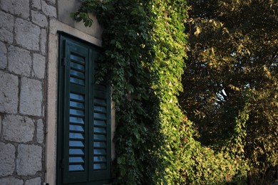 Photo of Window with closed wooden shutters on stone wall of building and climbing plant