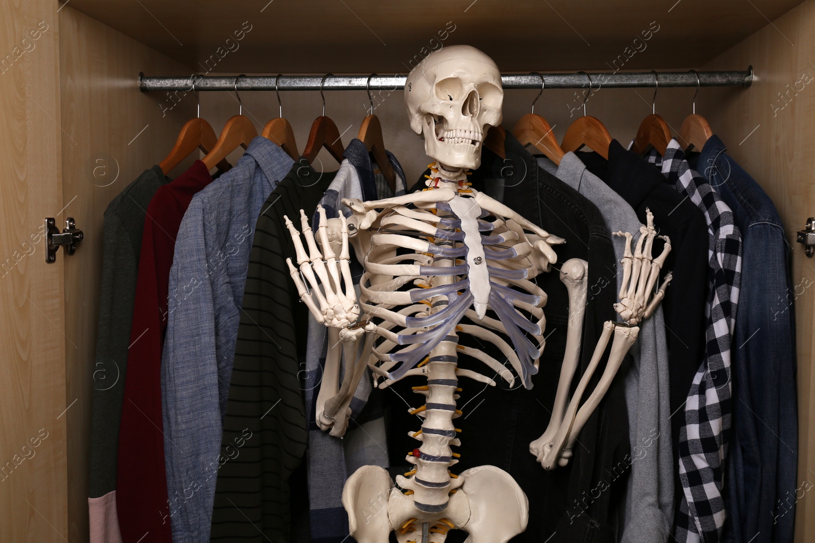 Photo of Artificial human skeleton model among clothes in wardrobe