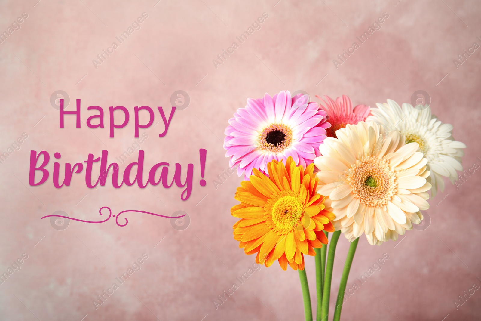 Image of Happy Birthday! Bouquet of beautiful bright gerbera flowers on pink background