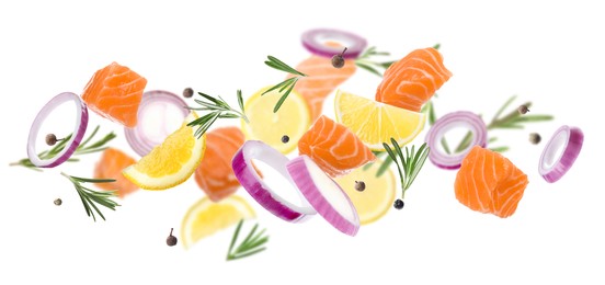 Pieces of delicious fresh raw salmon and different spices on white background. Banner design 