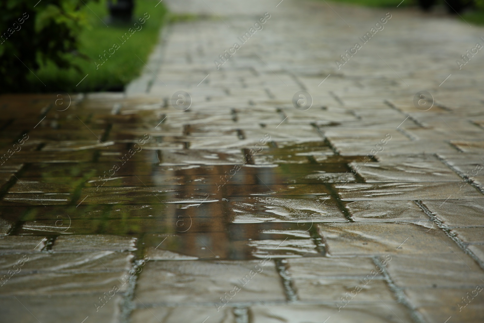 Photo of Puddle after rain on street tiles outdoors, selective focus