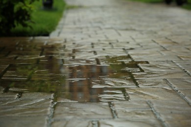 Photo of Puddle after rain on street tiles outdoors, selective focus