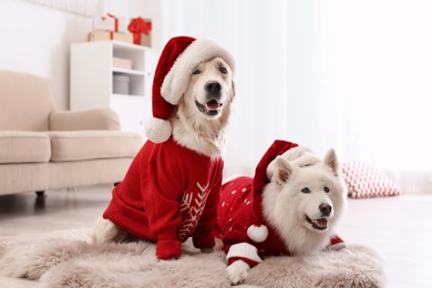 Cute dogs in warm sweaters and Christmas hats on floor at home