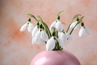 Photo of Beautiful snowdrops in vase on color background, closeup