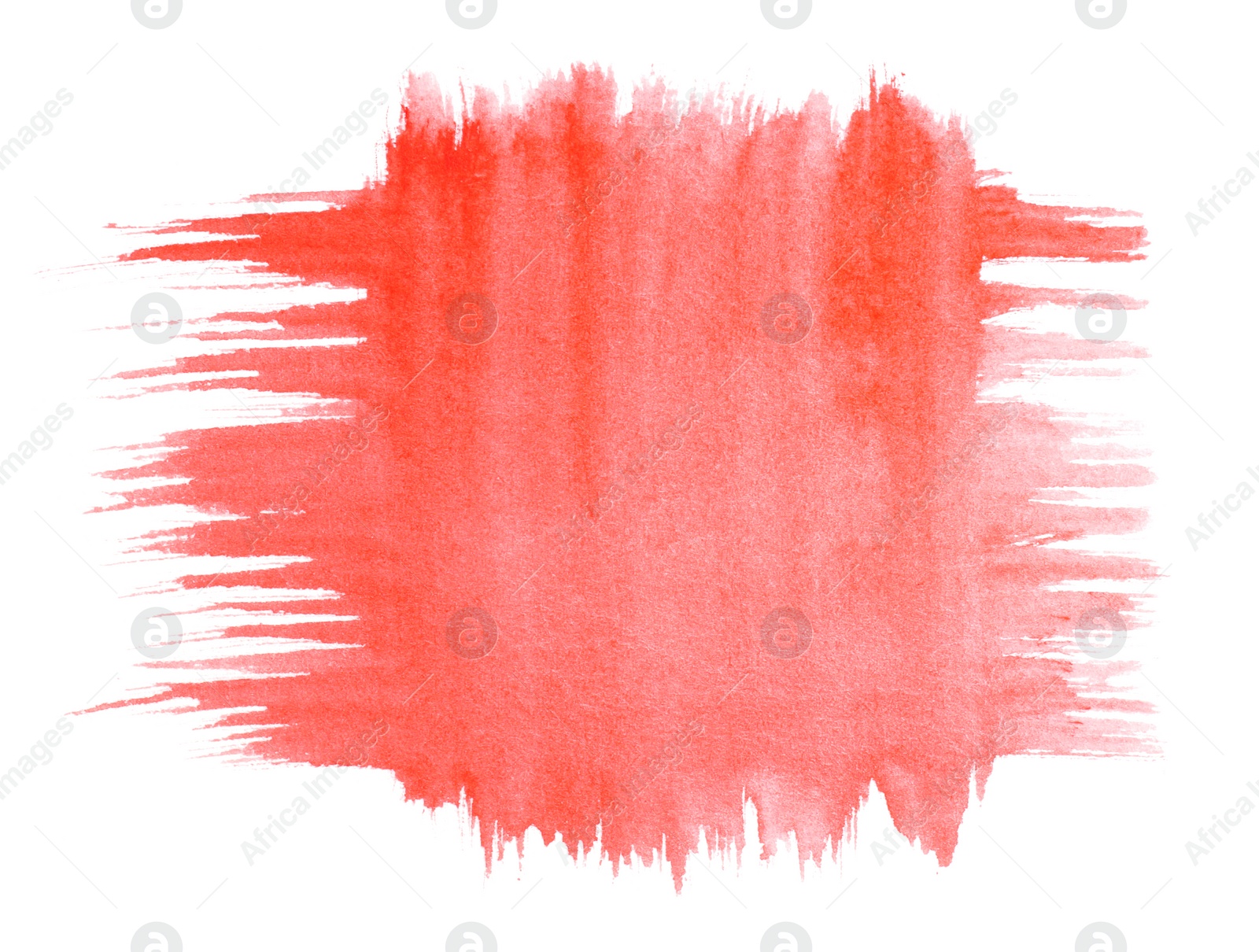 Photo of Paint strokes drawn with brush on white background