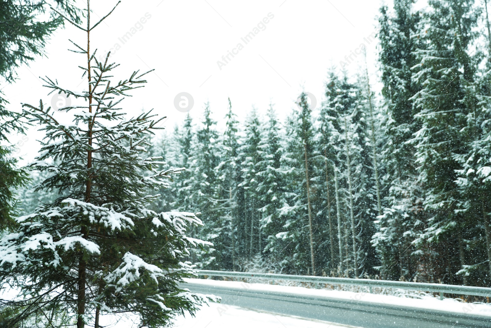 Photo of Beautiful landscape with conifer forest and road on snowy winter day