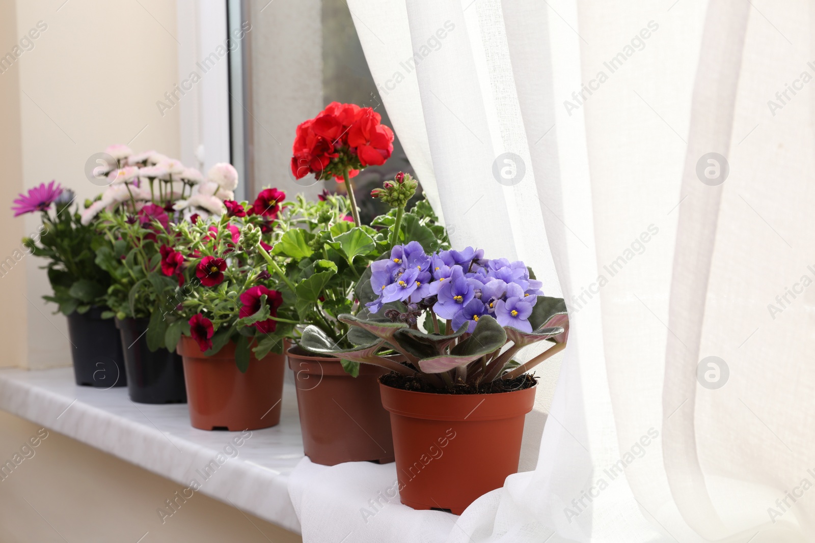 Photo of Different beautiful potted flowers on windowsill indoors