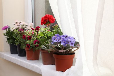 Different beautiful potted flowers on windowsill indoors