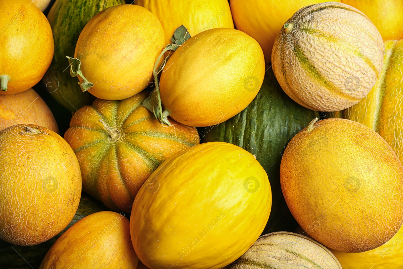 Photo of Fresh tasty ripe melons as background, top view