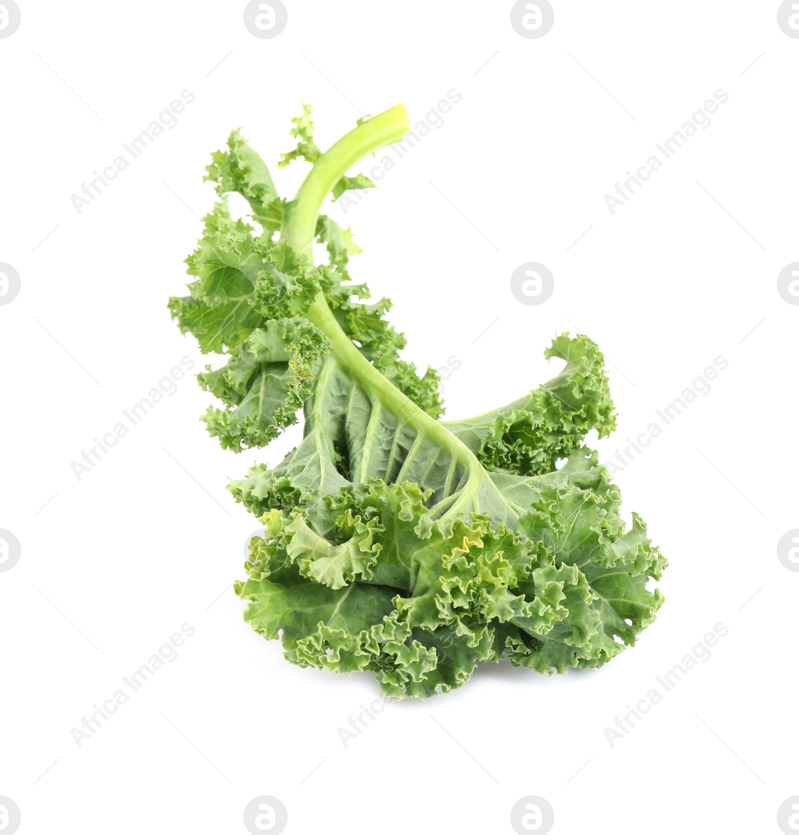 Photo of Fresh green kale leaf isolated on white