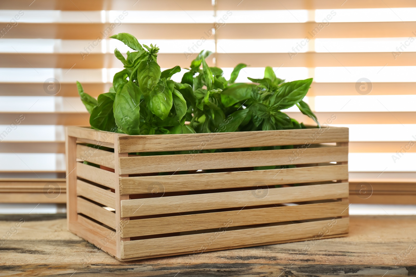 Photo of Fresh green basil in crate on wooden window sill