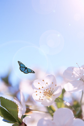 Image of Beautiful butterfly and blossoming flowers outdoors on sunny day