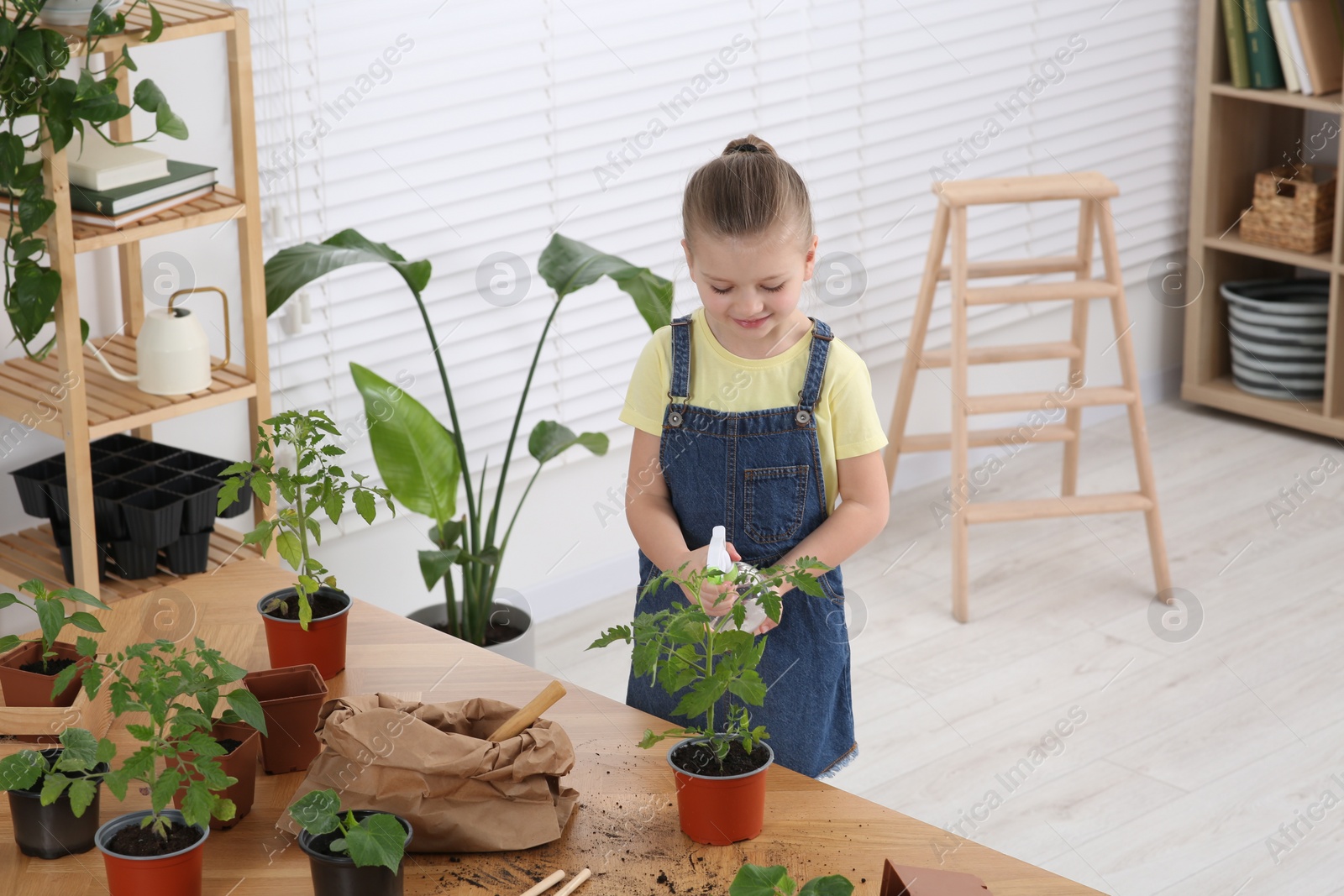 Photo of Cute little girl spraying seedling in pot at wooden table in room