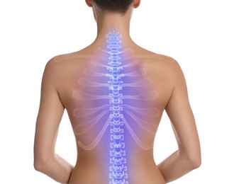 Woman with healthy spine on white background, back view