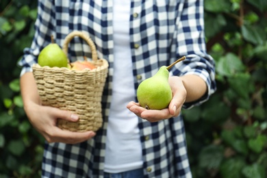 Photo of Woman holding fresh ripe fruits outdoors, focus on hand with pear