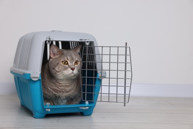 Travel with pet. Cute cat in carrier on floor near white wall indoors, space for text