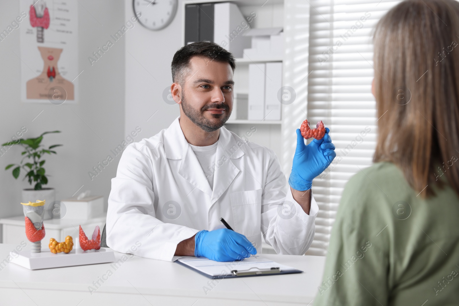 Photo of Endocrinologist showing thyroid gland model to patient at table in hospital