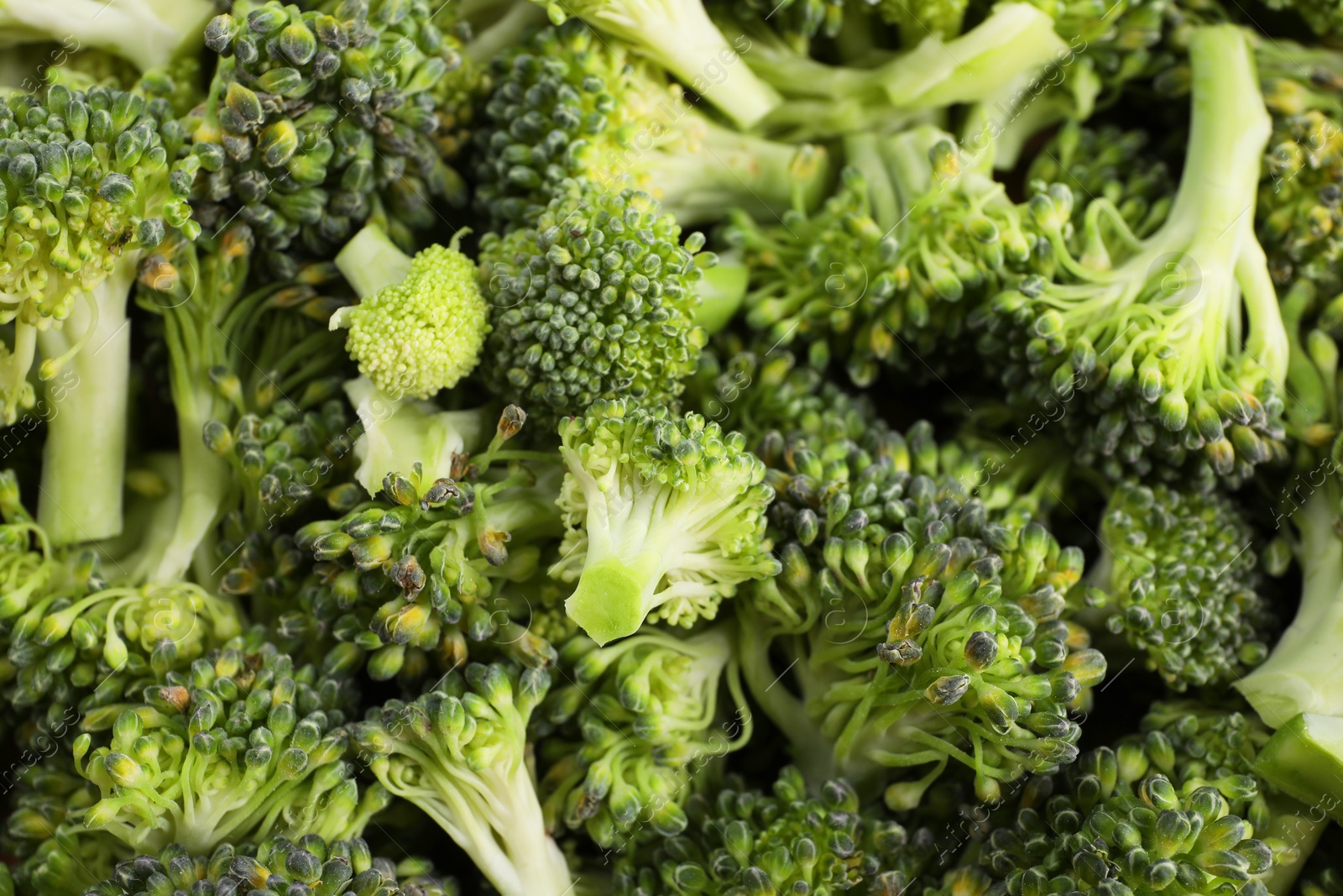 Photo of Fresh raw broccoli as background, closeup view