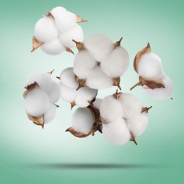 Beautiful cotton flowers falling on green background