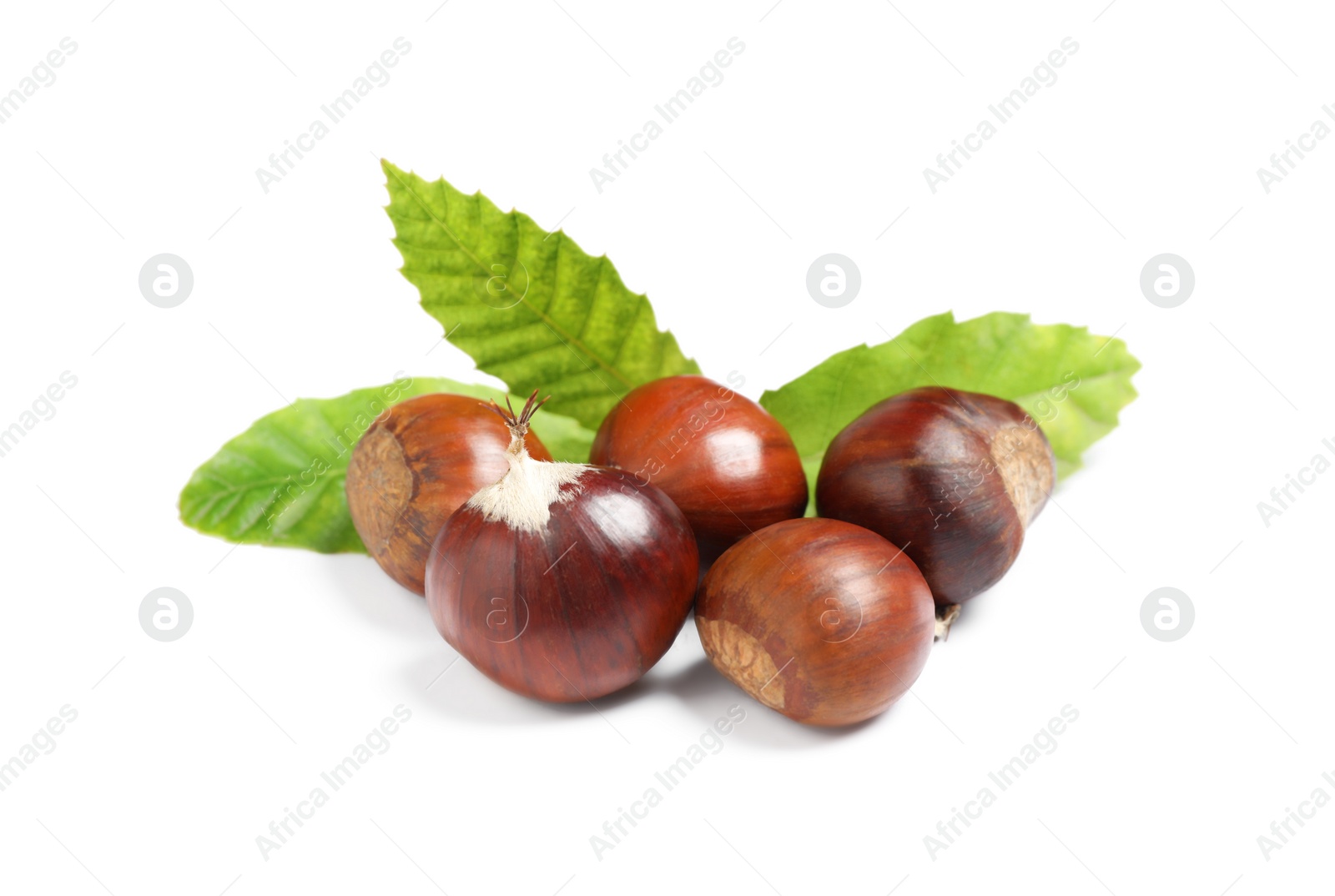 Photo of Fresh sweet edible chestnuts with green leaves on white background