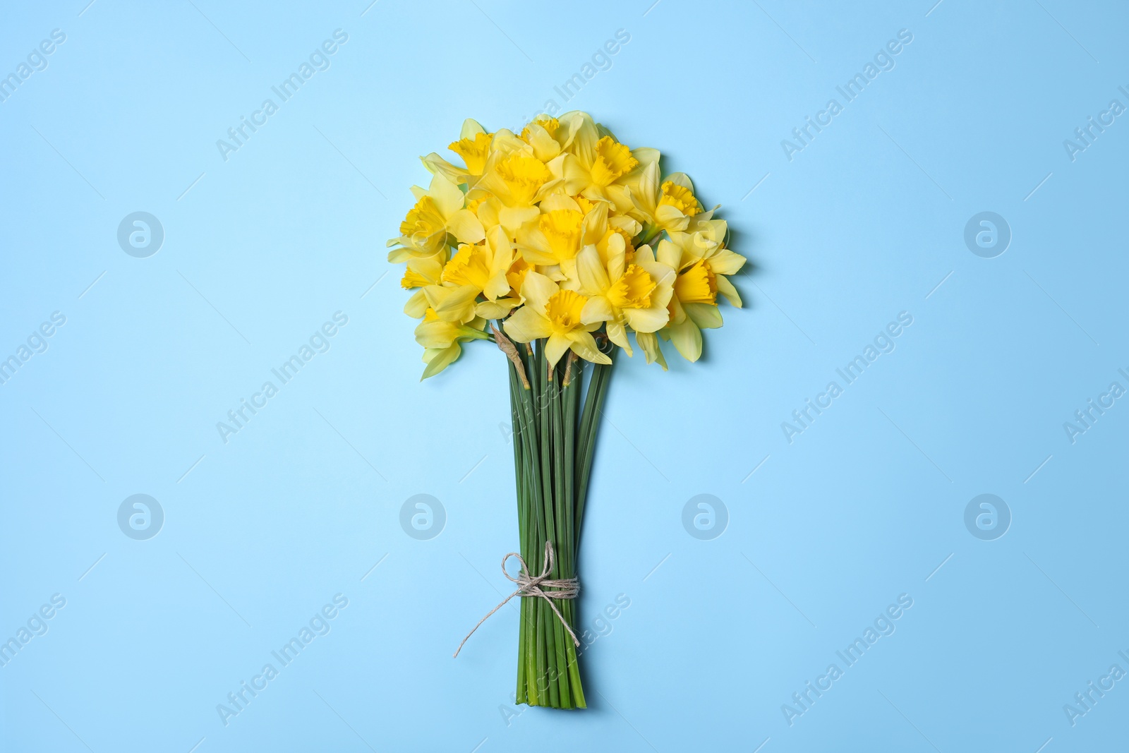 Photo of Bouquet of beautiful yellow daffodils on light blue background, top view