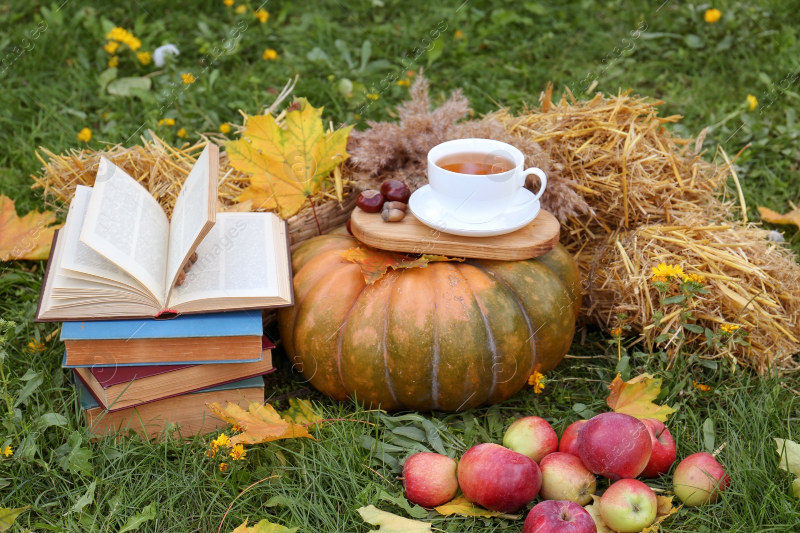 Photo of Books, pumpkin, apples and cup of tea on green grass outdoors. Autumn season