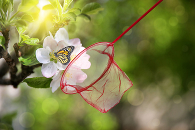 Bright net and beautiful butterfly on blossoming cherry tree outdoors