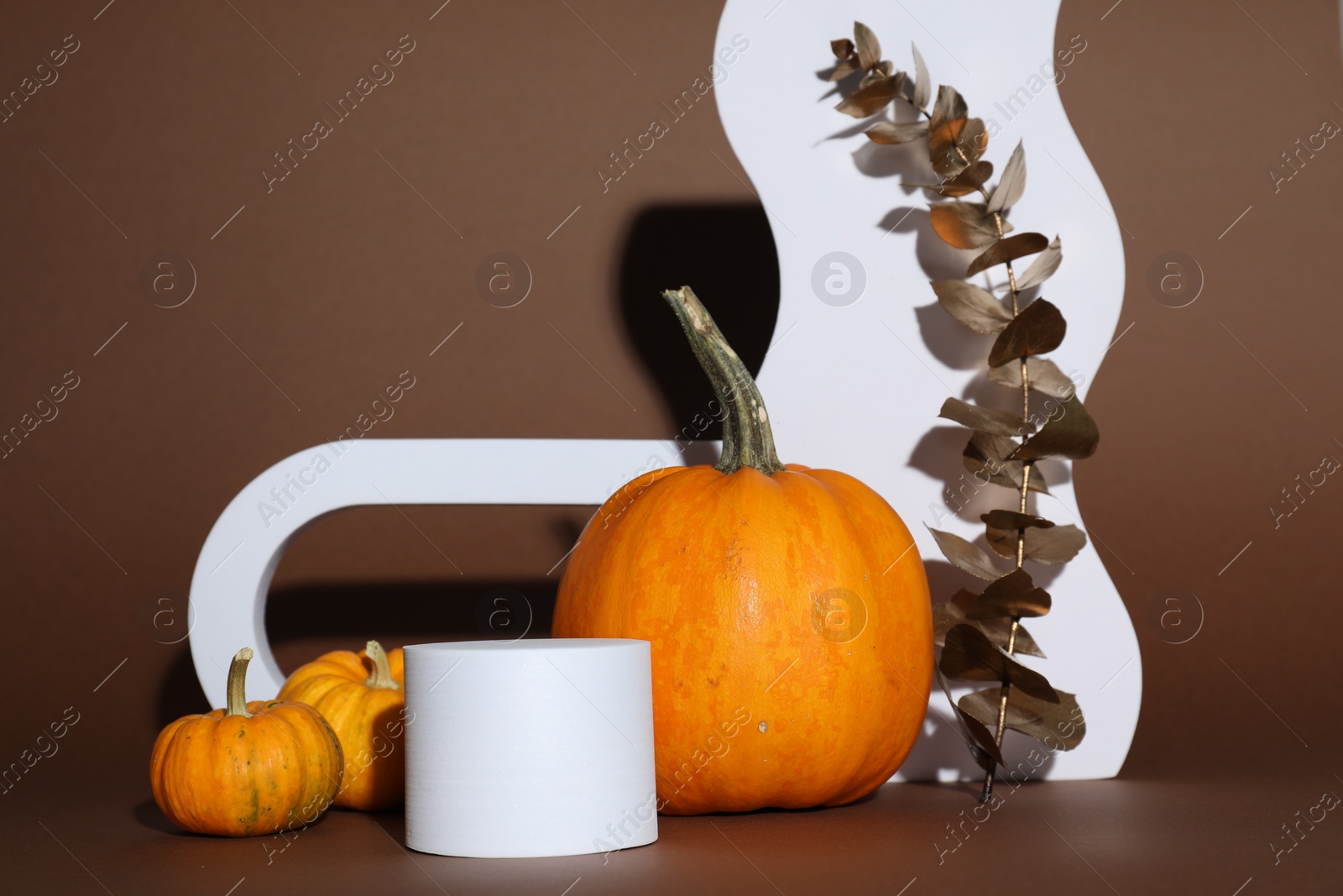 Photo of Autumn presentation for product. White geometric figures, pumpkins and golden branch with leaves on brown background