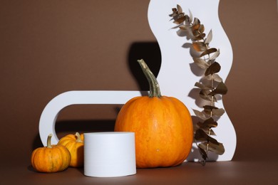 Photo of Autumn presentation for product. White geometric figures, pumpkins and golden branch with leaves on brown background