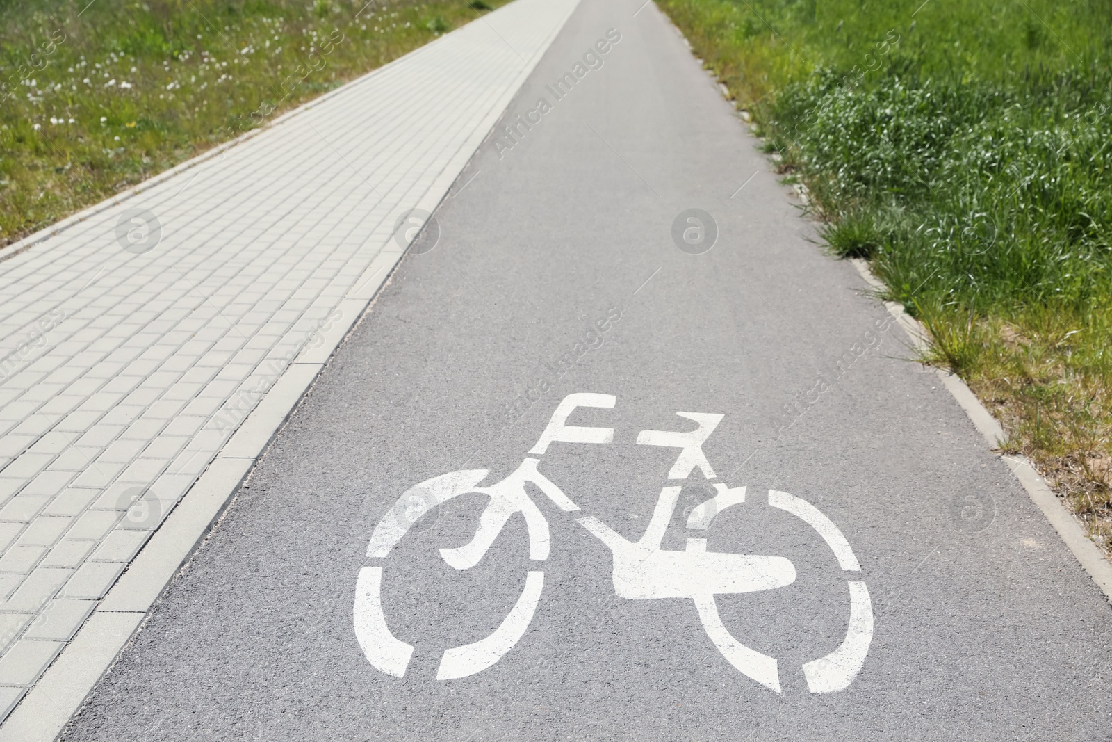 Photo of Bicycle lane with white sign painted on asphalt near sidewalk