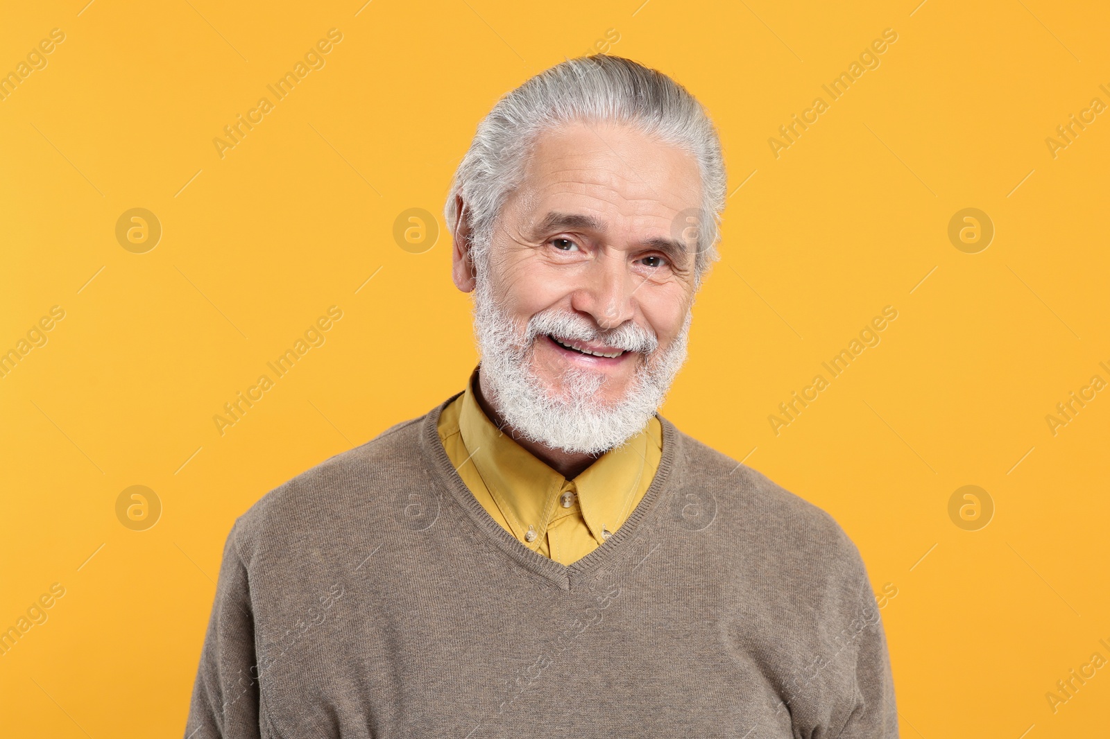 Photo of Portrait of handsome senior man on orange background
