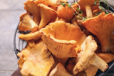 Photo of Fresh wild chanterelle mushrooms in metal basket on table, closeup