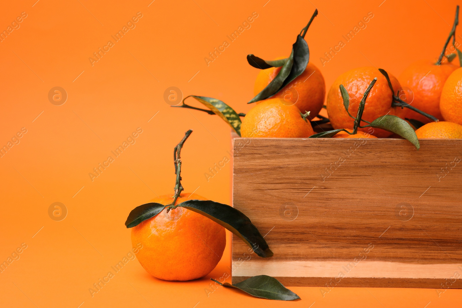 Photo of Wooden crate with fresh ripe tangerines and leaves on orange table, space for text