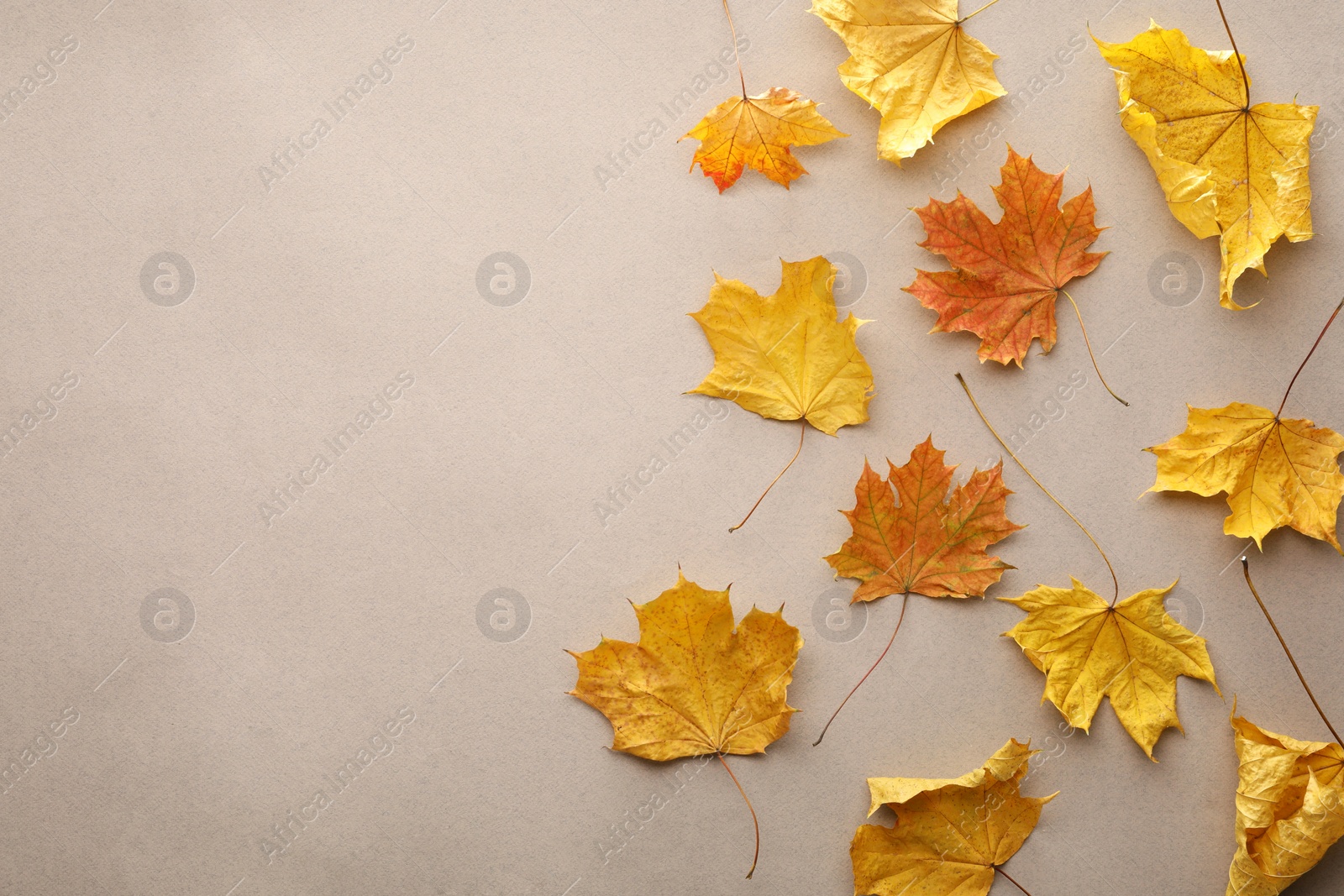 Photo of Dry autumn leaves on beige background, top view. Space for text