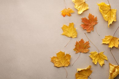 Dry autumn leaves on beige background, top view. Space for text