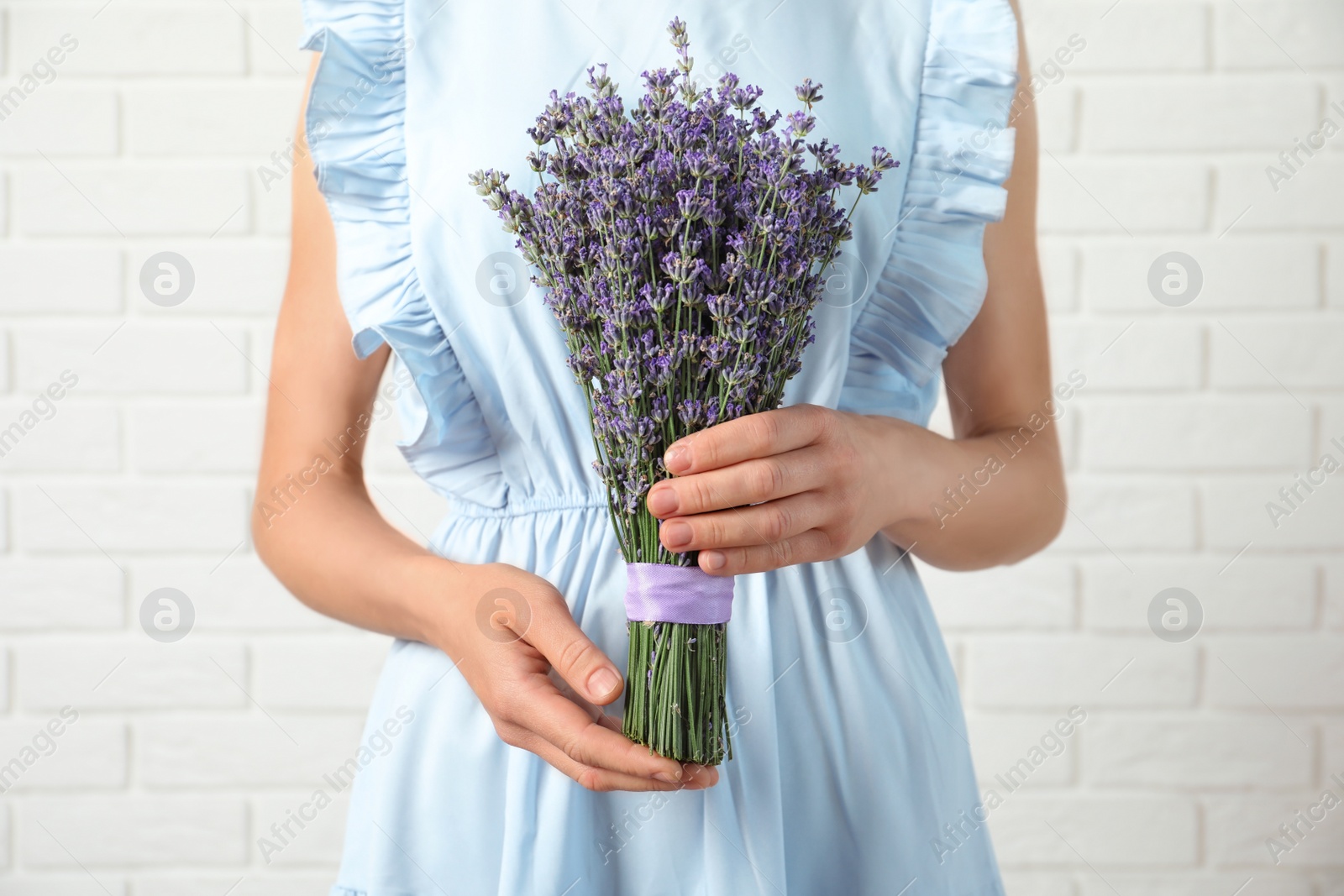 Photo of Woman holding fresh lavender flowers against white brick wall, closeup view