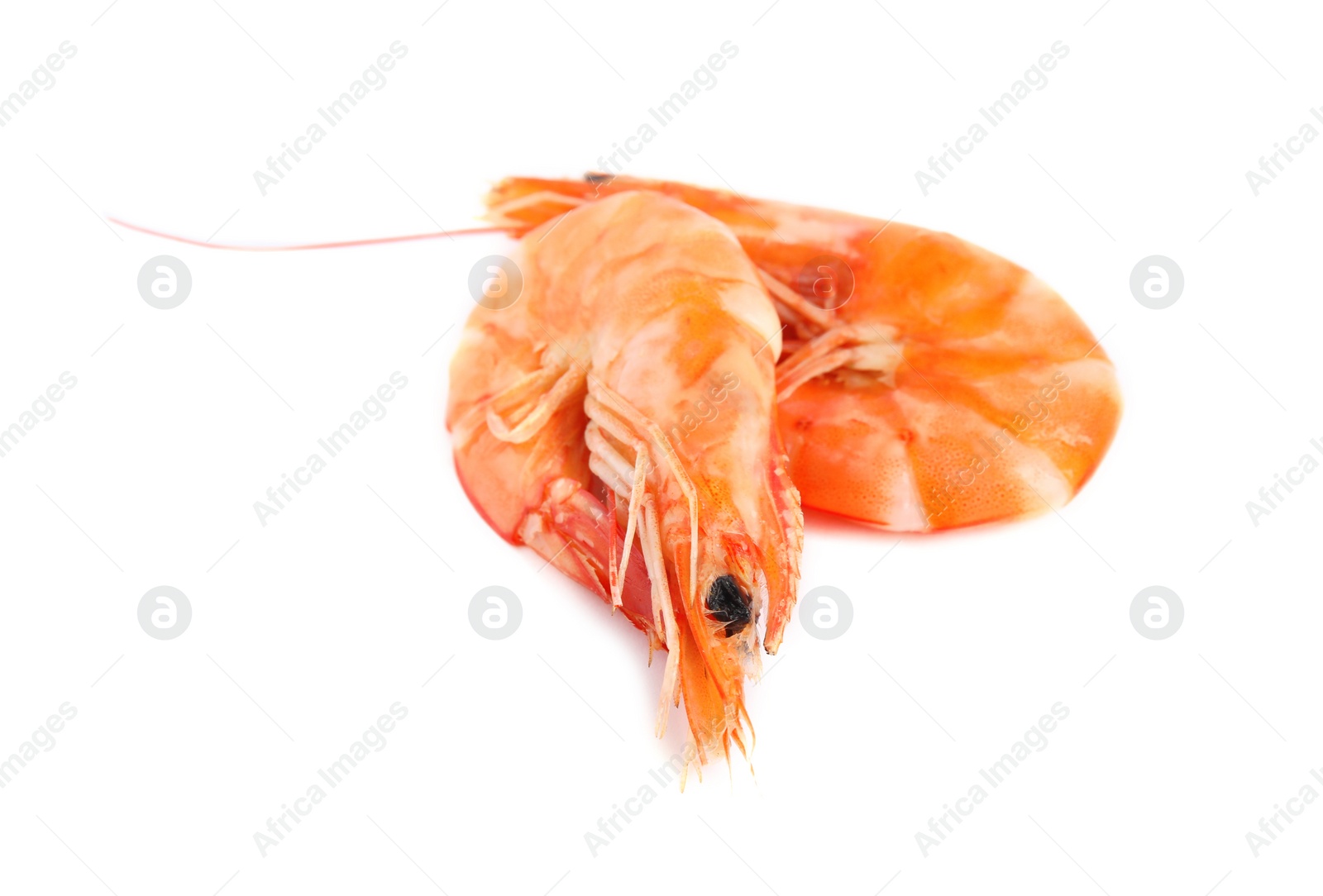 Photo of Delicious cooked whole shrimps isolated on white