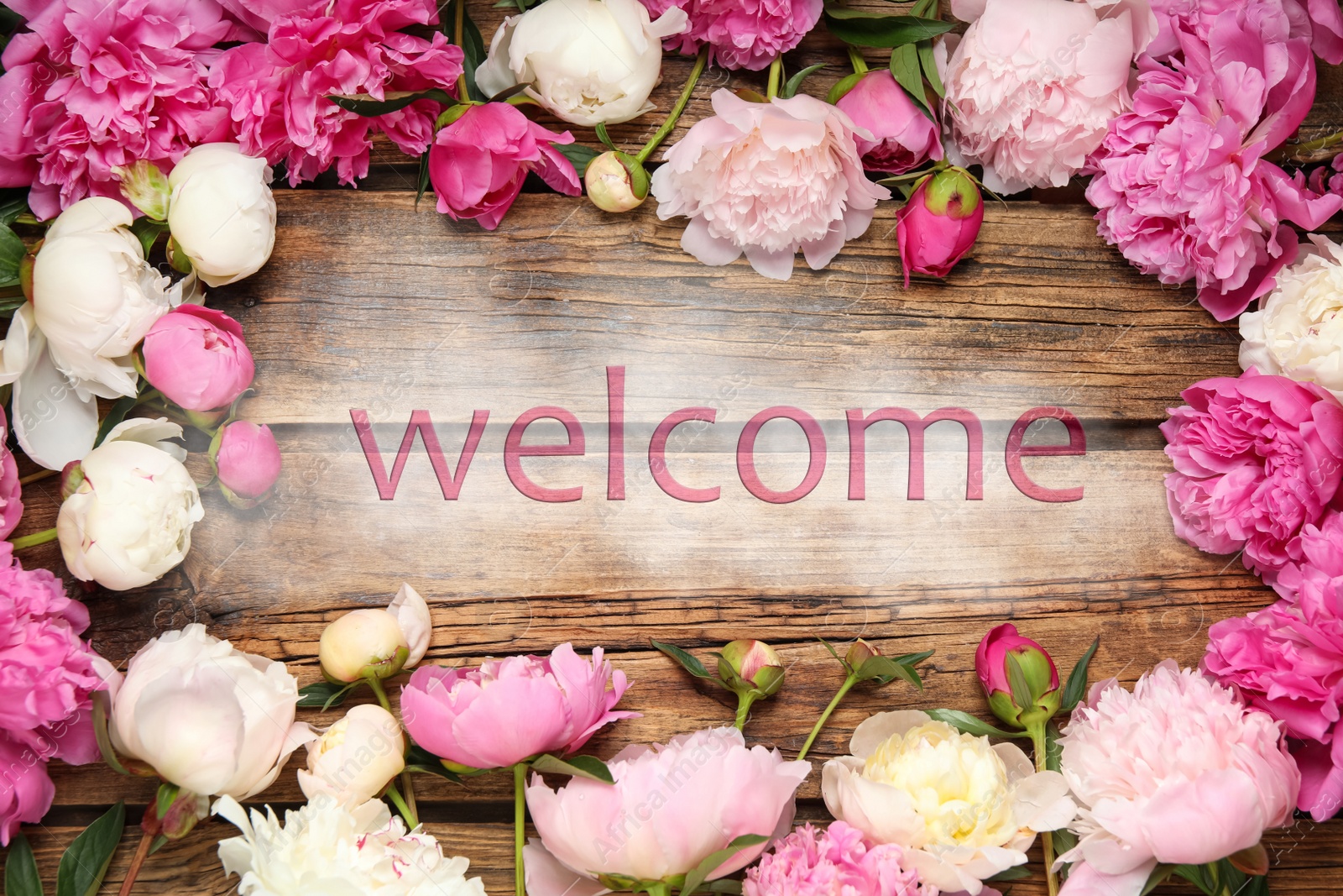 Image of Frame made of beautiful peonies and word WELCOME on wooden background, flat lay