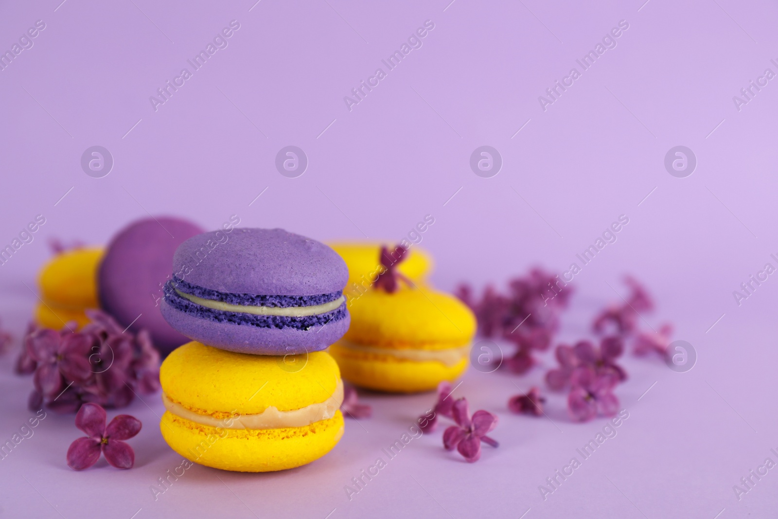 Photo of Delicious colorful macarons and lilac flowers on violet background, space for text