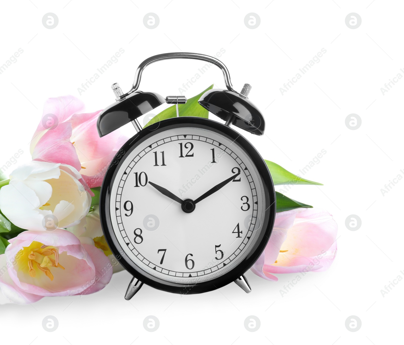 Photo of Black alarm clock and spring flowers on white background. Time change