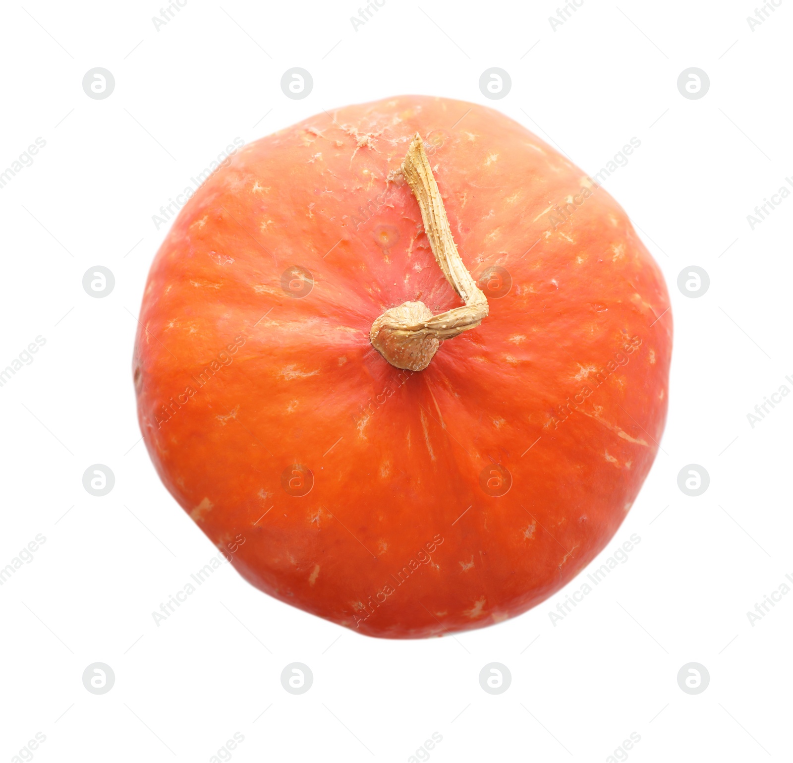 Photo of Fresh raw pumpkin isolated on white, top view. Organic plant