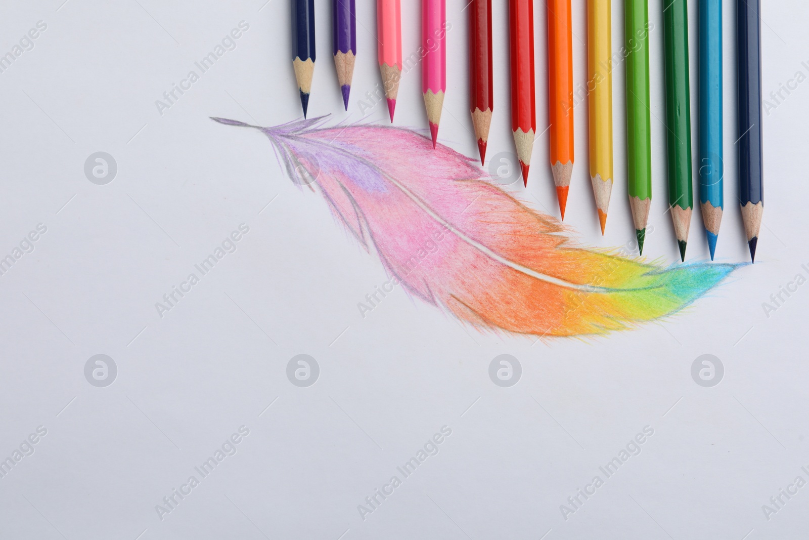 Photo of Drawing of feather and colorful pencils on white background, top view