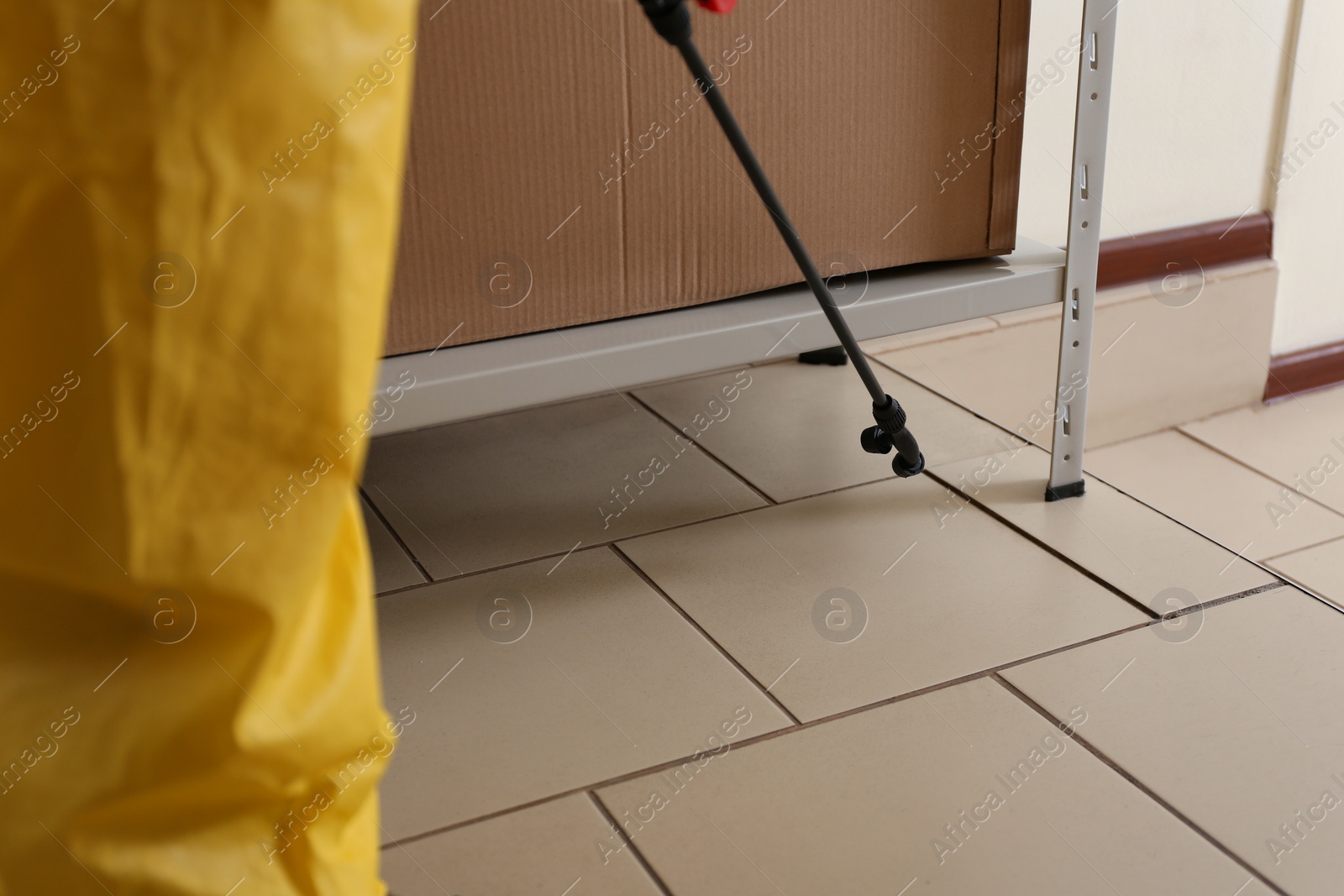 Photo of Pest control worker spraying pesticide indoors, closeup