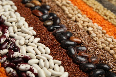 Different grains and seeds as background, closeup. Veggie diet