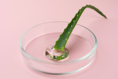 Photo of Petri dish with aloe plant and cosmetic product on pink background