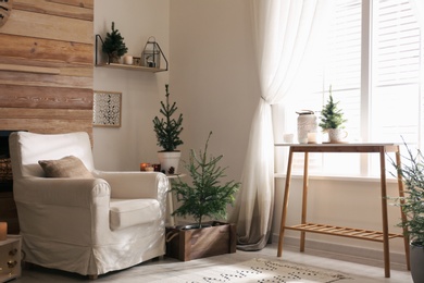 Potted fir trees in living room. Christmas interior design