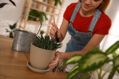 Photo of Young woman potting succulent plant at home, closeup. Engaging hobby