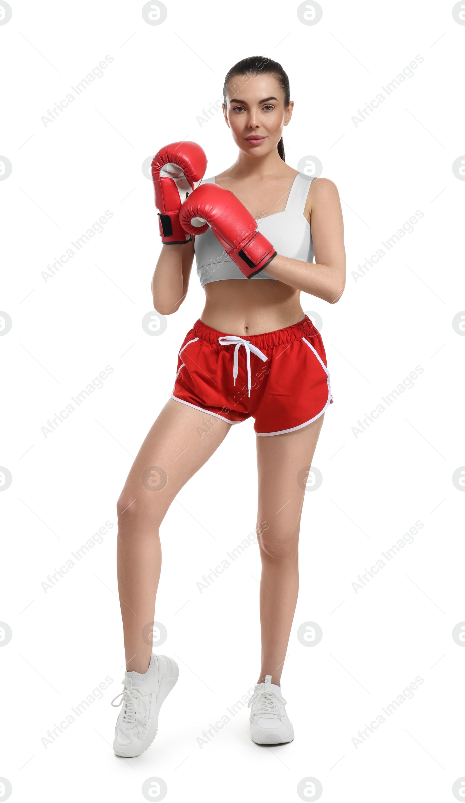 Photo of Beautiful woman in boxing gloves on white background