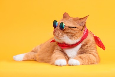 Cute ginger cat in stylish sunglasses and bandana on yellow background