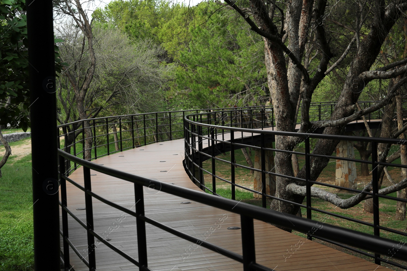 Photo of Picturesque view of bridge with metal railing and many trees in park